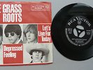 The Grass Roots-Let`s Live For Today.