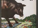 BULL ANGUS LP VINYL 1970 GATEFOLD PSYCH ROCK