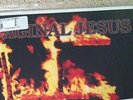 Vaginal Jesus Affirmative Apartheid LP AxCx Meatshits VxJx Seth Putnam ExCx RAC