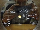 BRIXTON PRESIDENT / NO FOES / FIRE UNKNOWN ACETATE REGGAE SKA 7