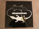Chameleon  Platinum Records with insert and poster Private Press  Yanni