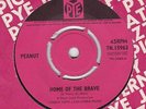 Peanut Home Of The Brave PYE 1965 EX b/w I Wanna Hear It Again Super B Side