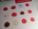 Peter Gabriel - Scratch My Back And I'll Scratch Yours - Sealed 2xLP Bon Iver