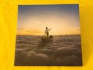 Pink Floyd • The Endless River • 2014 • NM • 2x 180 Gram LPs • Digital Download