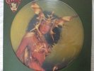 CHER Take Me Home  VINYL LP PICTURE DISC USA PRESSING 1979 Casablanca Looks nr/M
