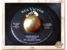 The Quarter Notes The Interview - Punkanilla RARE R&B ROCKER HEAR 45