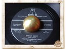 Dossie Terry Skinny Ginny R&B BLUES ROCKER JIVER HEAR 45