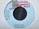 Horace Andy Trickle Down Killer Digi 7
