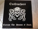 THE DESTRUCTORS RARE PUNK/OI VINYL LP (EXERCISE THE DEMONS OF YOUTH) ON JAM 555