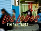 Los Lobos - Tin Can Trust