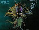Ween - Mollusk