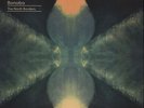Bonobo - The North Borders Deluxe 10