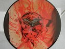 Dismember INDECENT AND OBSCENE  Picture LP