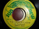 Bim Sherman as SHICH MAN 'Tribulation' Rare Roots Reggae 45 Sun Dew Jamaica