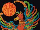 Rare Bird - Same - LP - Progressive Rock