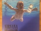 Nirvana Nevermind Picture Disc Vinyl Record 20th /1991 Foo Fighters