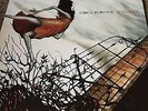 CIRCA SURVIVE Juturna VINYL LP Orange Marble