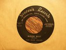 THE BLUE JEANS Moon Mist/D.J. Theme SOUVENIR 1007 Exotica Lounge Garage 45 - NM