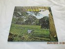Daylight Debut LP 1971 1st UK Pressing Orange RCA Labels