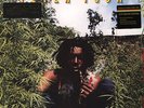 Peter Tosh - Legalize It - 180 Gram 2xLP NEUF / NEW