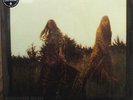 FIRST AID KIT LP The Lion's Roar VINYL 180 Gram + PROMO SHEET +  DOWNLOADS