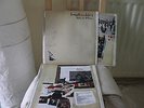 BABYSHAMBLES DOWN IN ALBION LP MINT CONDITION PETE DOHERTY LIBERTINES