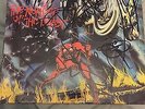 Iron Maiden - Number of the beast hand signed LP