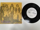 Led Zeppelin Live 45