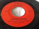 RARE / 45-RPM GRASSHOPPER (PUERTO RICAN ROCK) OUR ROCK 'N' ROLL / MY HONEY
