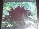 ANGELS OF LIGHT New Mother 2LP michael gira SWANS neurosis jarboe sonic youth