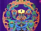 Grateful Dead - Anthem Of The Sun [Vinyl New]
