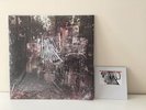 La dispute 'Wildlife' 2xLP *FIRST PRESS*