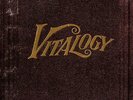 PEARL JAM - VITALOGY NEW SEALED 180 GRAM 2-LP 2011
