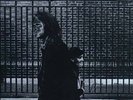 NEIL YOUNG 