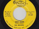 THE EDICATES She's Gone 45 on Musicol great Ohio garage HEAR