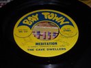 THE CAVE DWELLERS 1968 PSYCH/GARAGE 45 