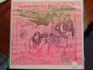 The Rolling Stones Welcome to New York Bootleg LP