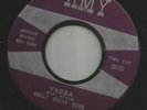 TITTYSHAKER MOD LATIN- HULLY GULLY BOYS -- YABBA - -HEAR BOTH -on AMY