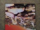 led zeppelin houses of the holy Vinyl Atlantic 1973 Press