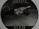 Nirvana   Blew   PICTURE VINYL LP, 12