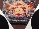 The Wildhearts - Fishing For Luckies