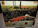 SPRING -same RCA Neon weiß label im Multifold cover Progressive