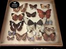 Emiliana Torrini - Rarities - 4x Lp / Vinyl / Neu / OVP