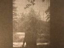 GROUPER - Ruins - LP