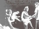 Pearl Jam: Dissident: Live At The Fox Theatre - VINYL  NEU
