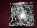 THE VERLAINES DEATH AND THE MAIDEN ORIGINAL FLYING NUN 7