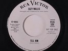 SUZY WALLIS: Tell Him / A Time For Us 45 (dj) rare Soul