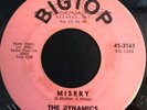 THE DYNAMICS   Misery / I'm The Man 45   Big Top mod R&B northern soul 45