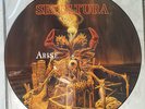 SEPULTURA - ARISE - PICTURE DISC - FIRST PRESS - wie SOULFLY, KREATOR, SODOM usw