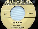 The RE-VELS So In Love / In Happened To Me  RARE DOO WOP 45 on Teen Label 122